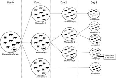 Network Analysis of Cattle Movement in Mato Grosso Do Sul (Brazil) and Implications for Foot-and-Mouth Disease